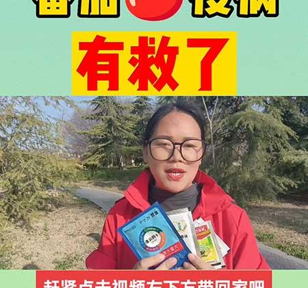 金赞花卉怎么养