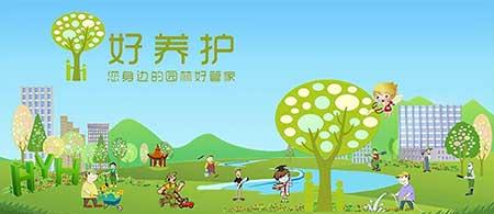 办公室绿植盆栽租摆