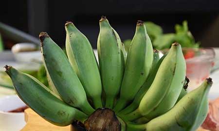 香蕉树盆栽怎么养