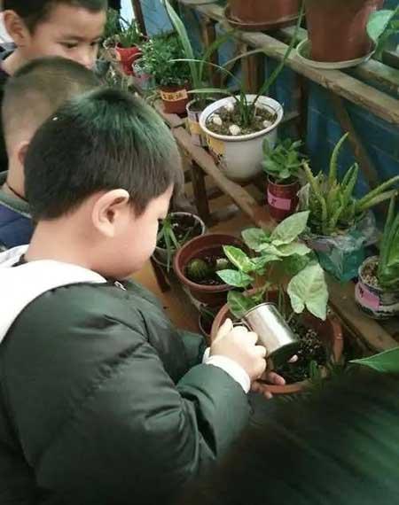 孩子养花草的意义