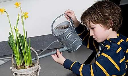 孩子养花草的意义