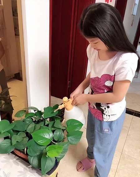 孩子养花草的意义