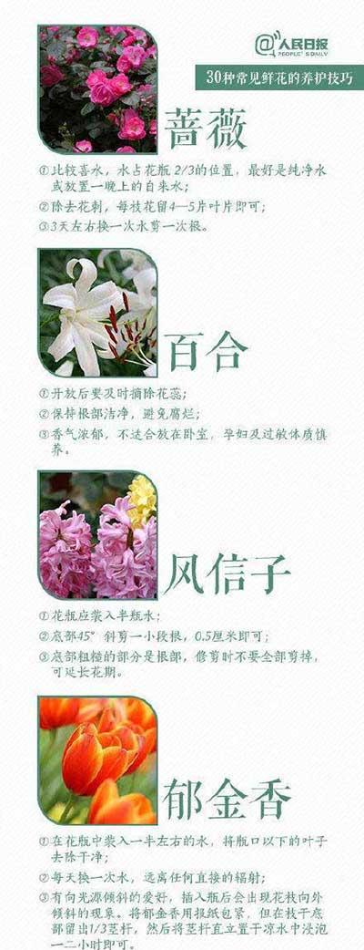 鲜花养殖