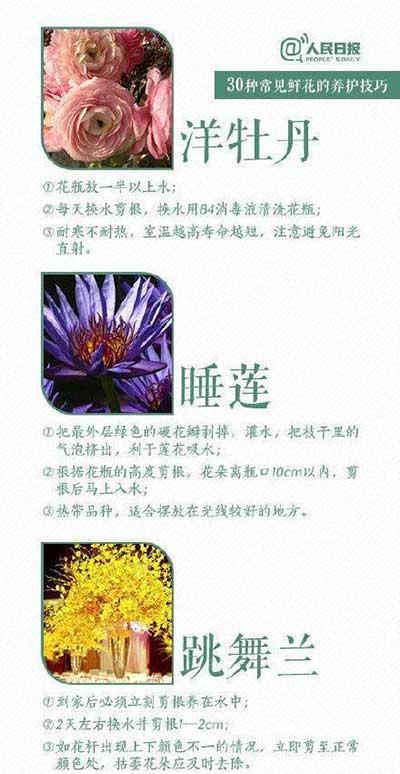 鲜花养殖