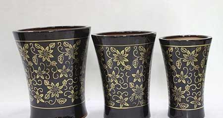 巨峰葡萄盆栽怎么养