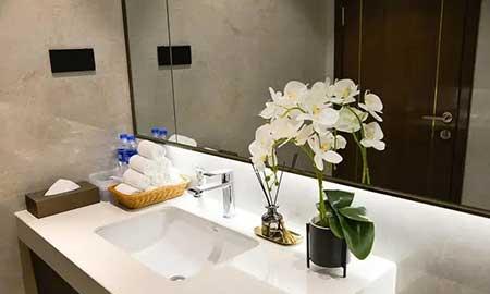 卫生间适合养什么花