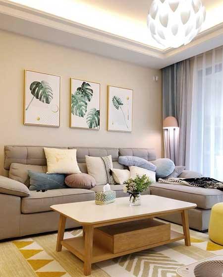 楼房适合养什么绿植