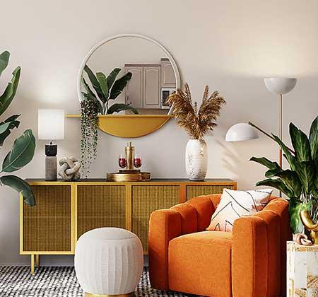 适合室内养的无毒绿植