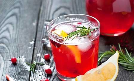 适合室内养的无毒绿植