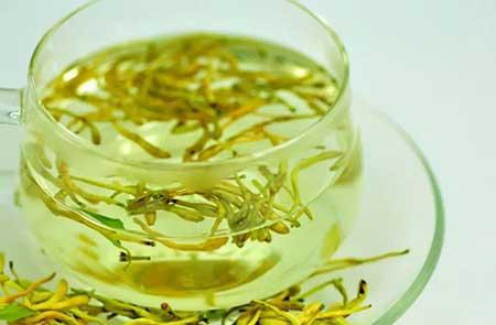 适合室内养的无毒绿植