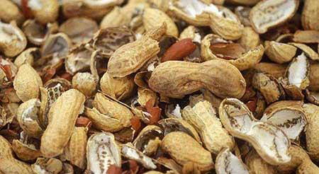 花可以用矿泉水养吗