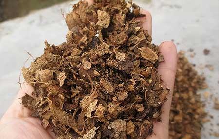 花可以用矿泉水养吗