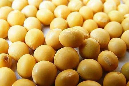 花可以用矿泉水养吗