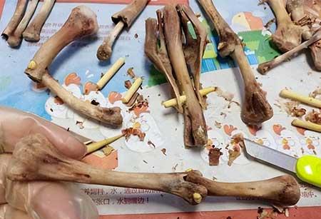 花可以用矿泉水养吗