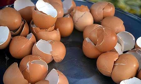 花可以用矿泉水养吗