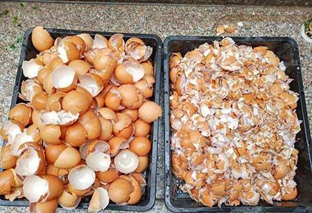 花可以用矿泉水养吗