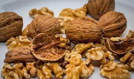 花可以用矿泉水养吗