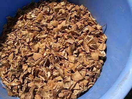 花可以用矿泉水养吗