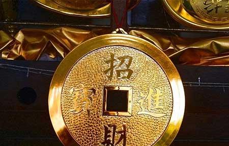 属虎养什么花