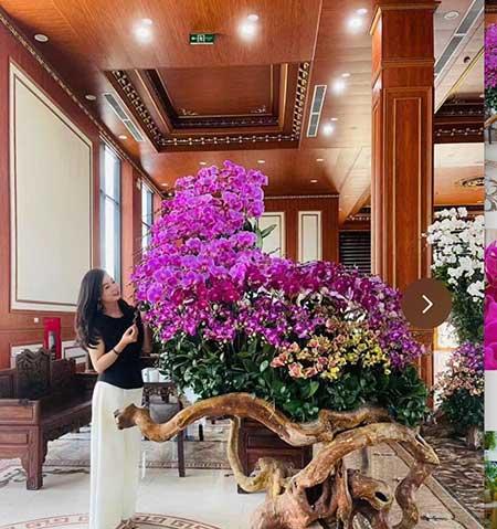 养的花