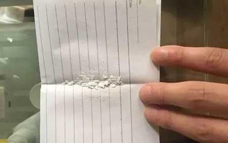 月季花的养护方法