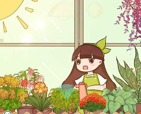 绿植如何养护