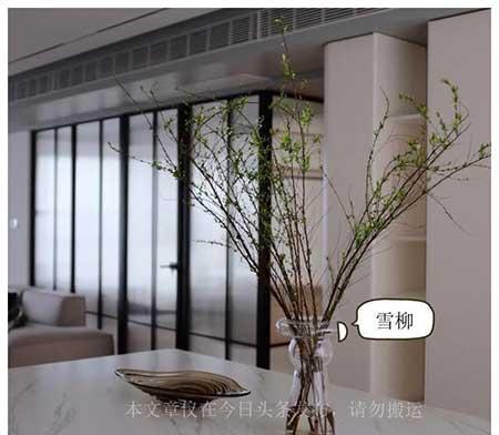 能在水里养的植物