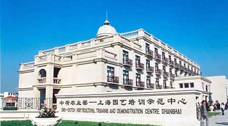 花卉市场租摆花卉