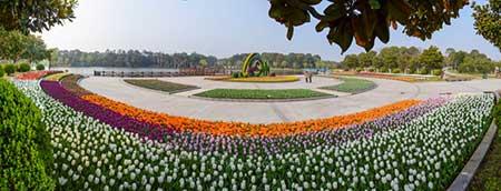 花卉市场租摆花卉