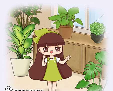 花卉种植