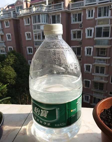 花卉种植