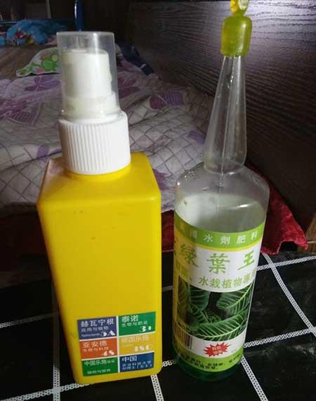 花卉种植