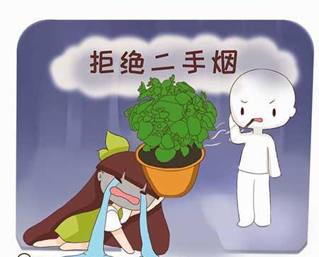 什么绿植好养活又能净化空气