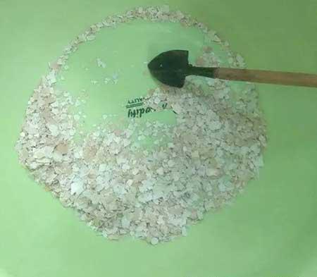 什么绿植好养活又能净化空气