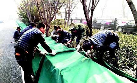园林绿化养护