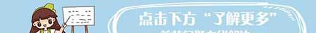 卧室内适合养什么花或植物