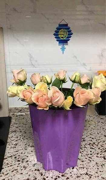 怎么养花瓶里的花