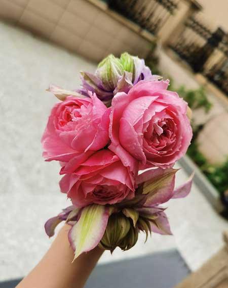 收到鲜花花束怎样养护
