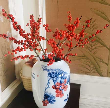 家里可以养什么花