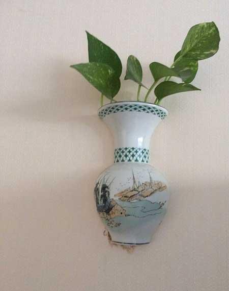养绿植的心情优美句子