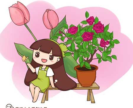 红掌花卉怎么养