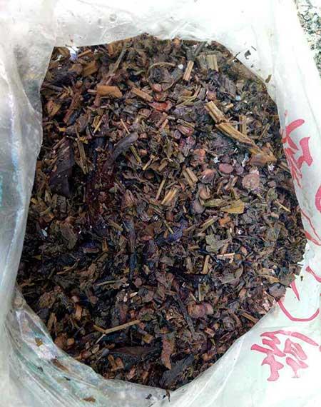 花卉养殖的技巧