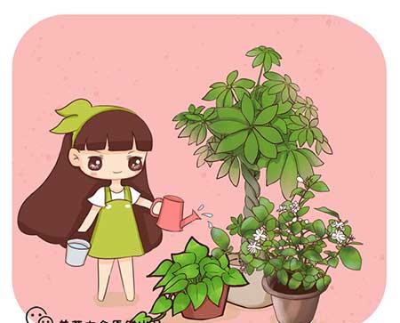 植物养护小妙招