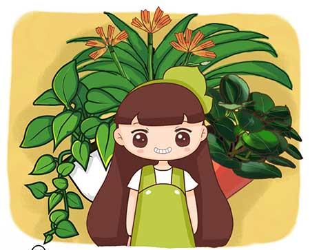 滴水观音盆栽怎么养