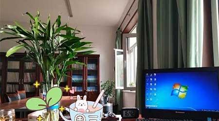 家庭花卉养殖知识大全