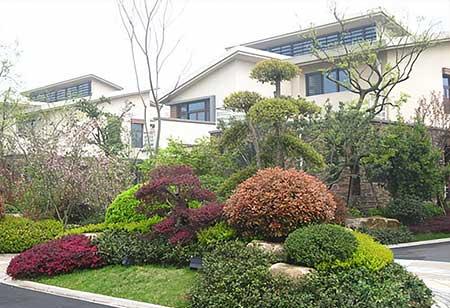 绿植方案