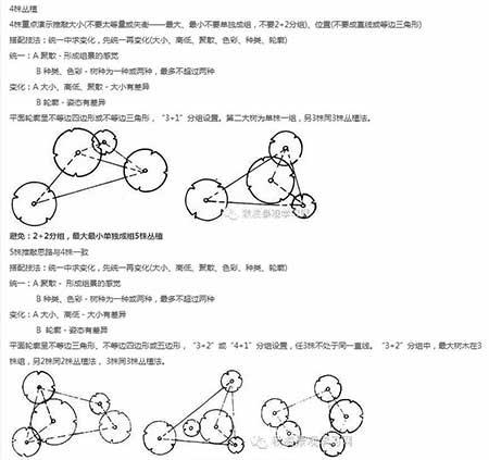 绿植方案