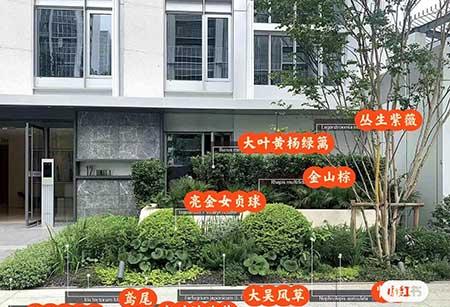 绿植方案
