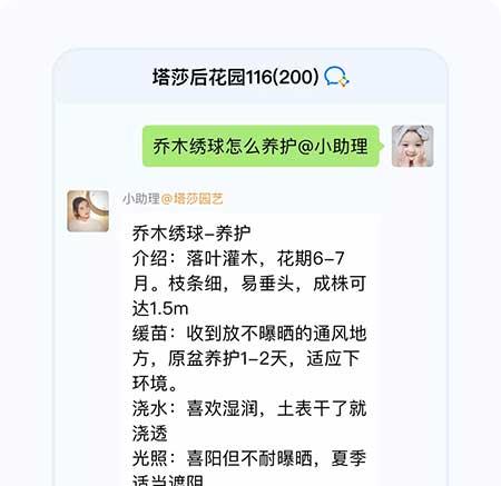 绿植养护卡片