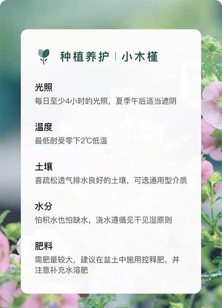 绿植养护卡片